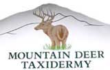 Mountain Deer TaxidermyWorks