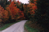 Vermonts Fall Foliage